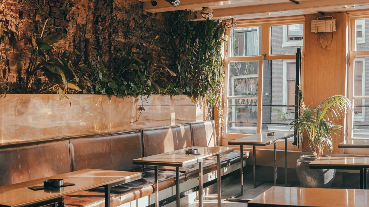 Varm kaféinteriör med läderbänkar, grönskande växtvägg och dagsljus från fönstren — Kafé Norr, Vasastan
